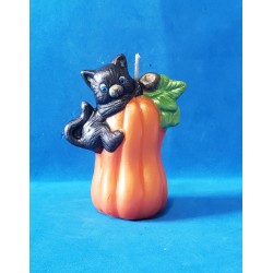 Calabaza Larga con Gato 1