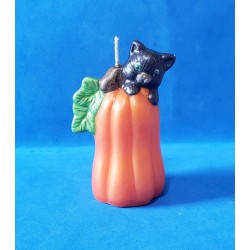 Calabaza Larga con Gato 2