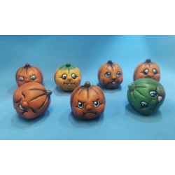 Calabazas Mini en Bulto