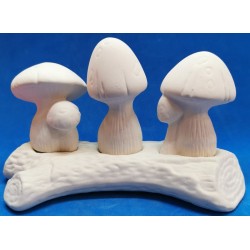 Trunk Mushrooms